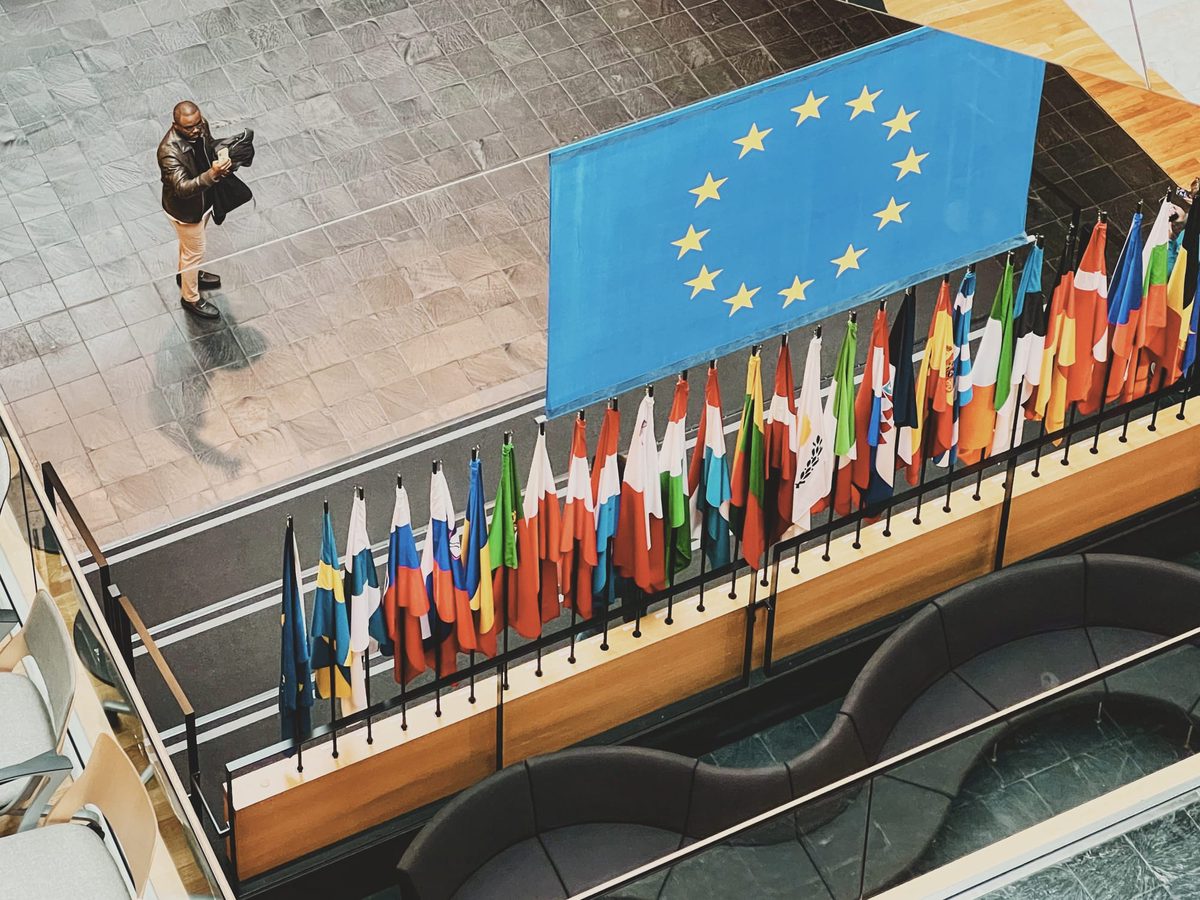 A row of flags at the European Parliament in Strasbourg. Image Anthony Nelzin-Santos.