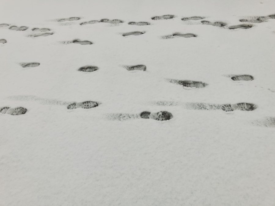 Steps in the fresh snow. Image Anthony Nelzin-Santos.