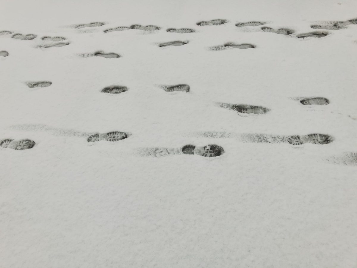 Steps in the fresh snow. Image Anthony Nelzin-Santos.