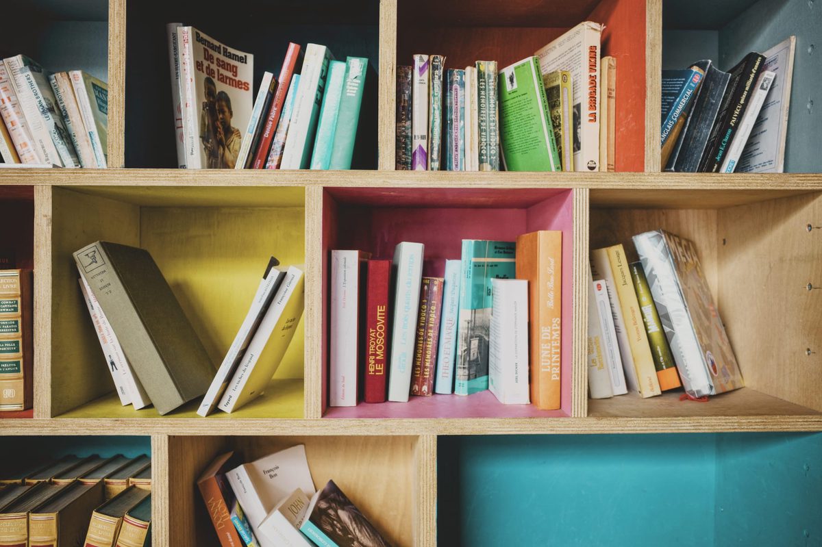 Colourful bookshelves in an outdoor library. Image Anthony Nelzin-Santos.
