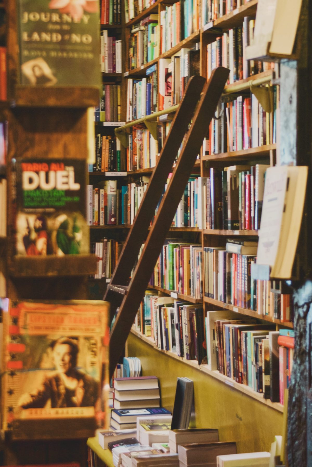 A library ladder in a bookshop. Image Anthony Nelzin-Santos.
