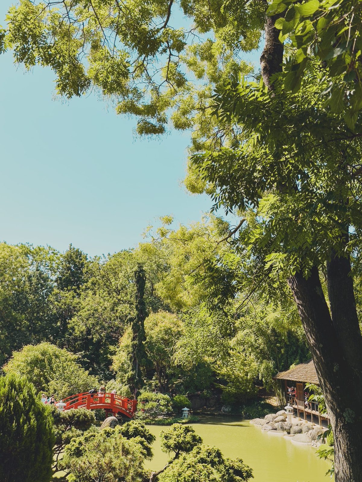 The Pierre-Baudis Japanese garden in Toulouse. Image Anthony Nelzin-Santos.